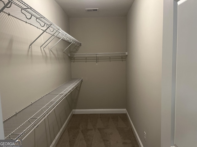 155 Martello Rd, Pooler, GA 31322 - walk in closet with visible vents and carpet floors