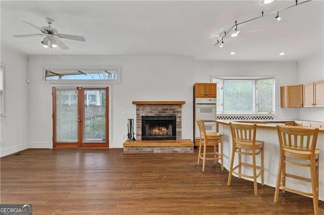 873 Monroe Cir NE, Atlanta, GA 30308 - living area with baseboards, ornamental molding, ceiling fan, a fireplace, and dark wood-type flooring