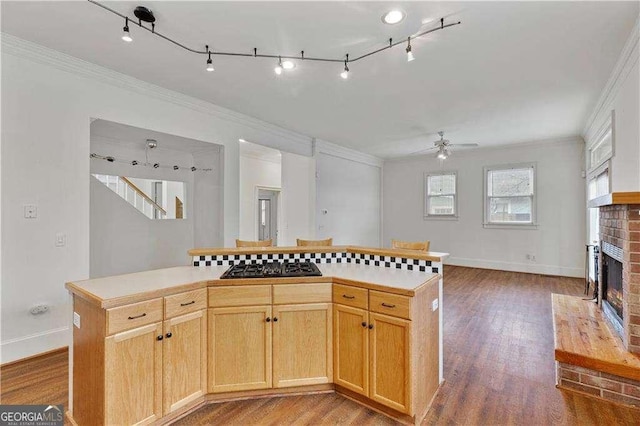 873 Monroe Cir NE, Atlanta, GA 30308 - kitchen with baseboards, ceiling fan, a fireplace, crown molding, and wood finished floors