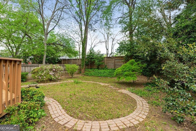 873 Monroe Cir NE, Atlanta, GA 30308 - view of yard featuring a fenced backyard