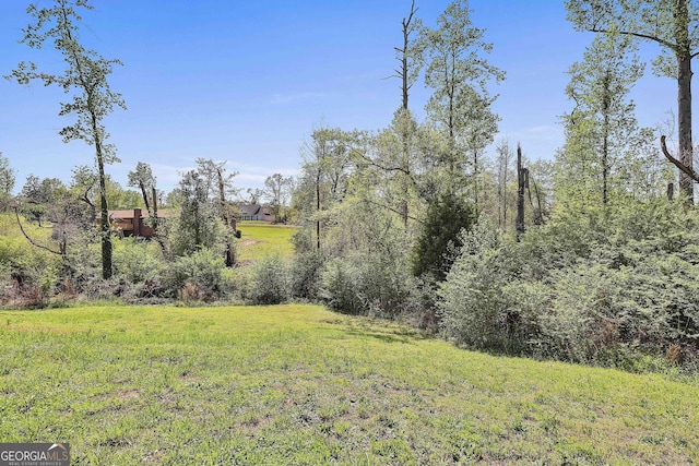 31 Festiva Dr, Newnan, GA 30263 - view of yard
