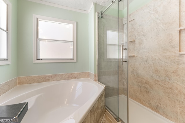 bathroom featuring a garden tub, a healthy amount of sunlight, and a stall shower