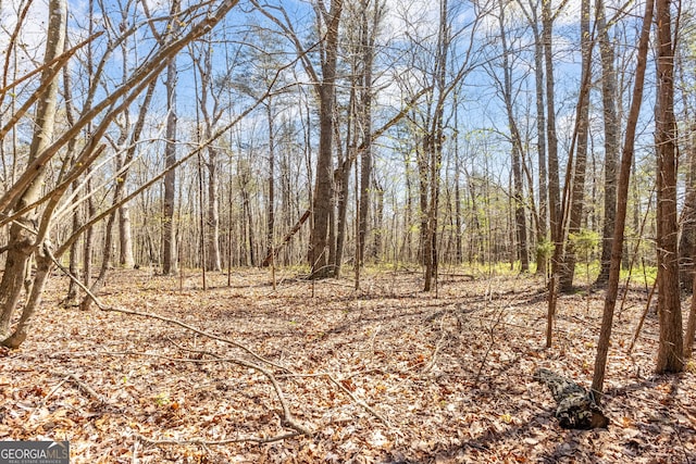 view of landscape with a wooded view