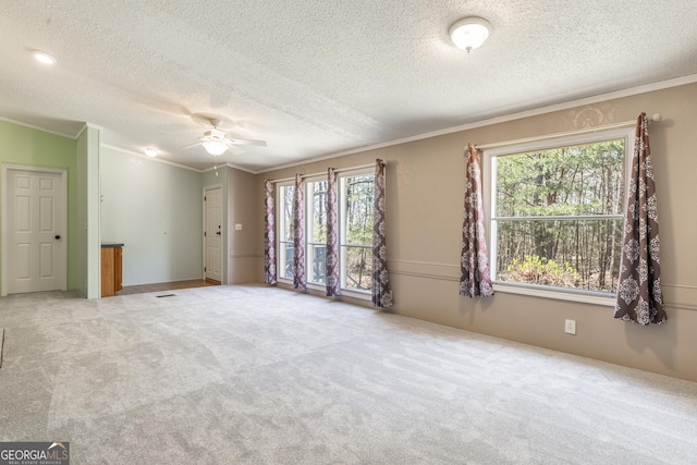 carpeted spare room featuring a ceiling fan, crown molding, and a textured ceiling