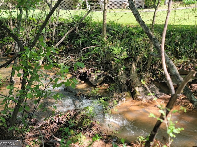 60 Bartlett Way, Dallas, GA 30157 - view of nature