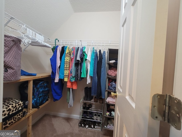 60 Bartlett Way, Dallas, GA 30157 - spacious closet with vaulted ceiling and carpet floors