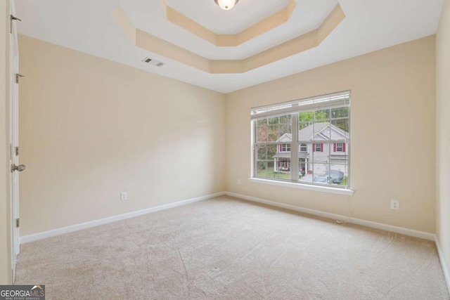 3892 Trillium Wood Trl, Snellville, GA 30039 - spare room featuring carpet and a raised ceiling