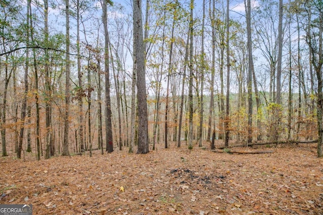 155 Indian Bend Dr, Lagrange, GA 30240 - view of local wilderness featuring a wooded view
