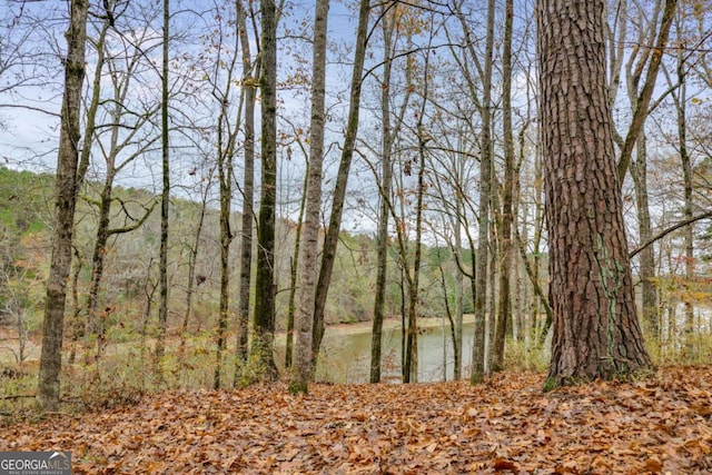 155 Indian Bend Dr, Lagrange, GA 30240 - water view featuring a forest view
