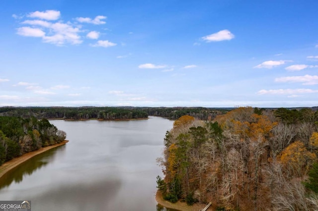 155 Indian Bend Dr, Lagrange, GA 30240 - property view of water featuring a view of trees