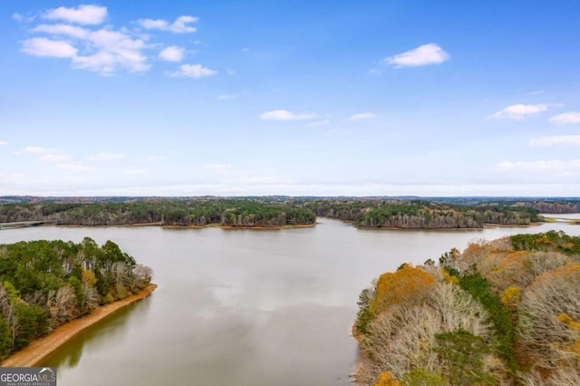 155 Indian Bend Dr, Lagrange, GA 30240 - view of water feature featuring a forest view