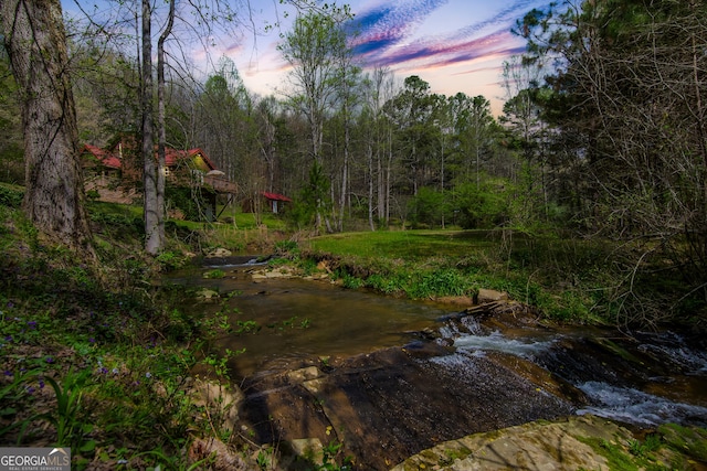 view of local wilderness