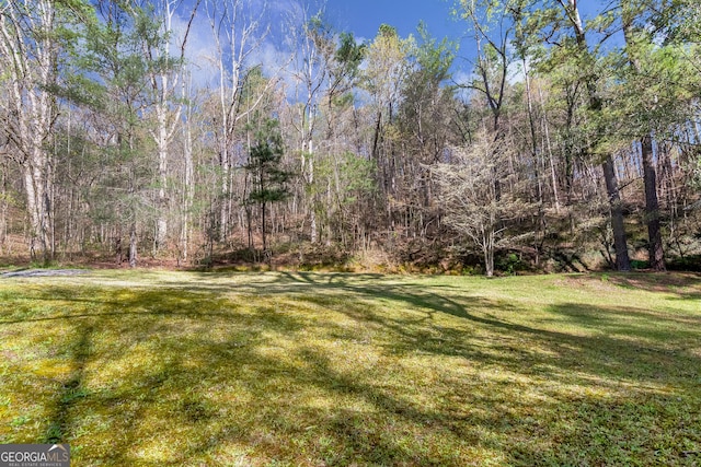 view of yard featuring a wooded view