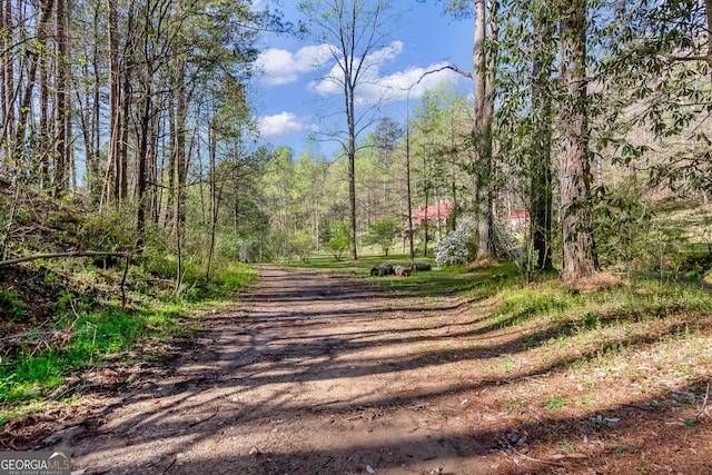 view of street with a view of trees