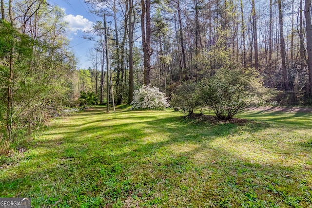 view of yard featuring a view of trees