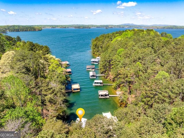 1762 Green Rd, Buford, GA 30518 - birds eye view of property with a water view