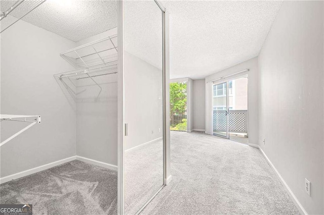 spacious closet featuring carpet flooring