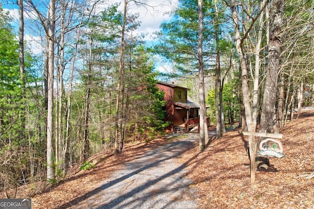 425 Rhonda Ln, Mineral Bluff, GA 30559 - view of front of home