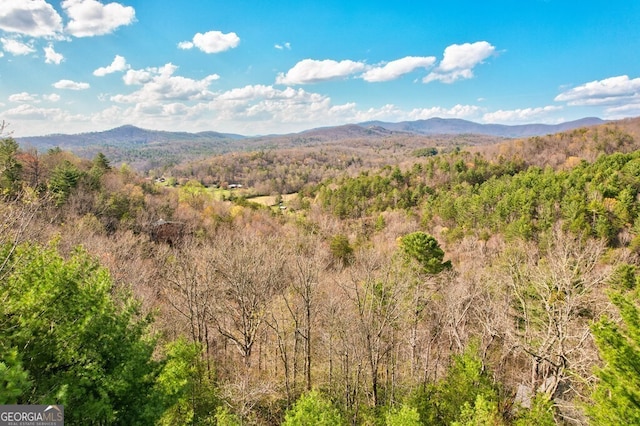 425 Rhonda Ln, Mineral Bluff, GA 30559 - view of mountain backdrop featuring a forest