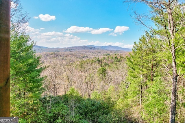 425 Rhonda Ln, Mineral Bluff, GA 30559 - view of mountain backdrop featuring a forest