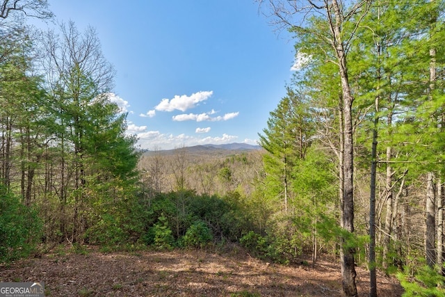 425 Rhonda Ln, Mineral Bluff, GA 30559 - view of mountain backdrop with a heavily wooded area