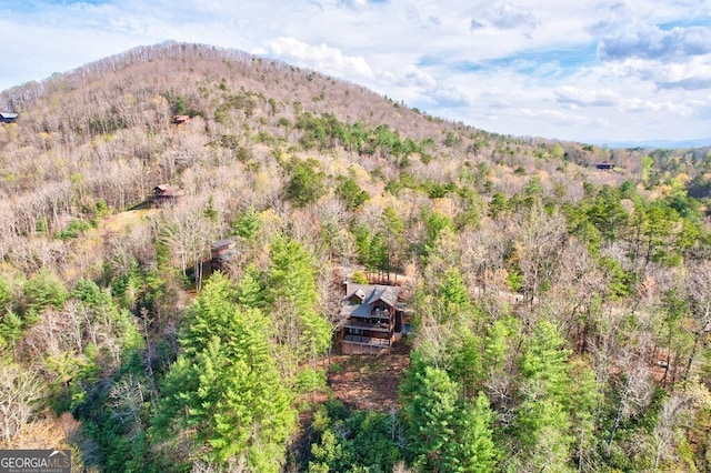 425 Rhonda Ln, Mineral Bluff, GA 30559 - view of subject property with a mountainous background and a heavily wooded area