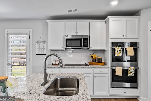 219 Rusty Plow Ln Unit 69, Perry, GA 31069 - kitchen with a wealth of natural light, visible vents, a sink, and appliances with stainless steel finishes