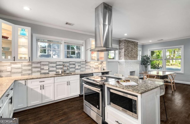 kitchen featuring tasteful backsplash, island exhaust hood, crown molding, appliances with stainless steel finishes, and a sink