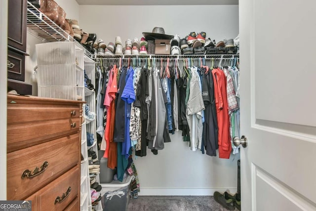 spacious closet featuring carpet floors