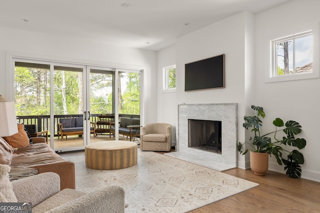 living area featuring a fireplace, baseboards, wood finished floors, and a healthy amount of sunlight
