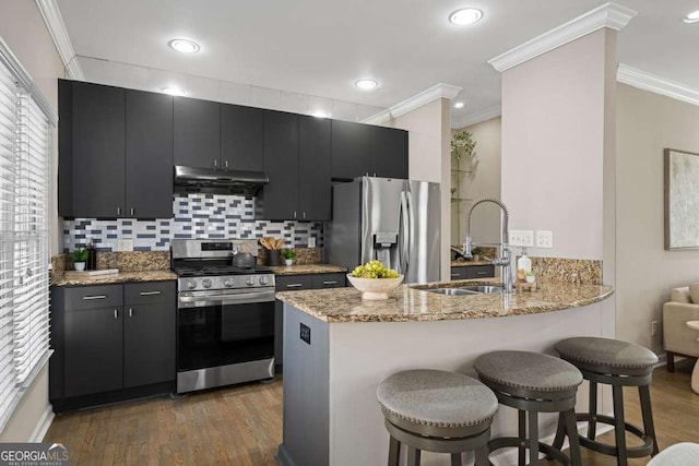 kitchen featuring dark cabinets, a peninsula, under cabinet range hood, stainless steel appliances, and a sink