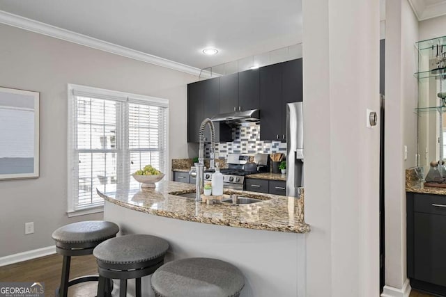 kitchen with tasteful backsplash, ornamental molding, appliances with stainless steel finishes, a kitchen breakfast bar, and under cabinet range hood