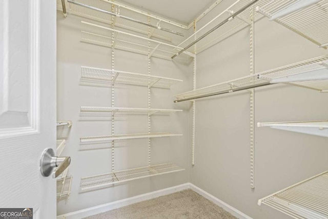 spacious closet with carpet
