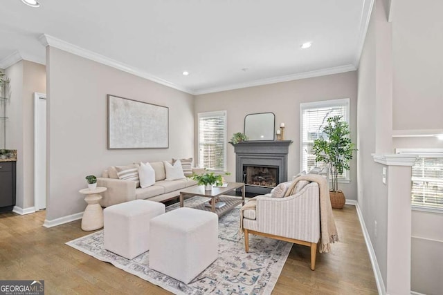 living area featuring a wealth of natural light, a fireplace, and wood finished floors