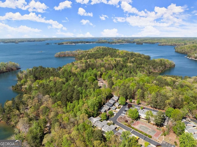 6500 Gaines Ferry Rd, Flowery Branch, GA 30542 - aerial view featuring a forest view and a water view