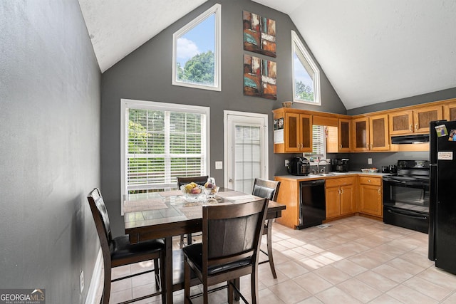 130 Manning Mill Rd NW, Adairsville, GA 30103 - kitchen featuring black appliances, under cabinet range hood, high vaulted ceiling, a sink, and light countertops