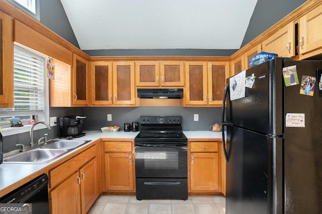 130 Manning Mill Rd NW, Adairsville, GA 30103 - kitchen featuring black appliances, lofted ceiling, under cabinet range hood, a sink, and light countertops