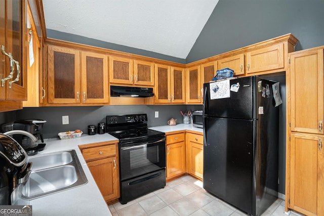 130 Manning Mill Rd NW, Adairsville, GA 30103 - kitchen with black appliances, a sink, under cabinet range hood, vaulted ceiling, and light countertops