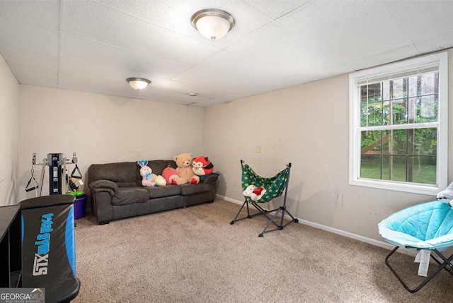 130 Manning Mill Rd NW, Adairsville, GA 30103 - living room featuring carpet flooring, a paneled ceiling, and baseboards