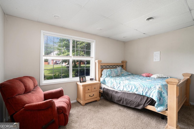 130 Manning Mill Rd NW, Adairsville, GA 30103 - bedroom with light carpet, a paneled ceiling, and baseboards