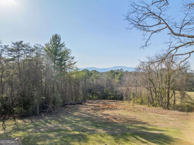 340 Lavista Dr, Blue Ridge, GA 30513 - property view of mountains with a view of trees