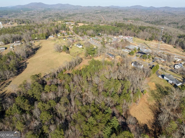 340 Lavista Dr, Blue Ridge, GA 30513 - drone / aerial view featuring a mountain view and a forest view