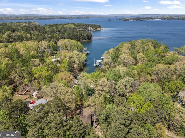birds eye view of property featuring a water view and a view of trees