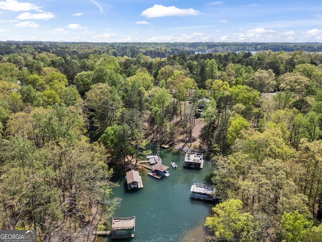 drone / aerial view featuring a water view and a view of trees