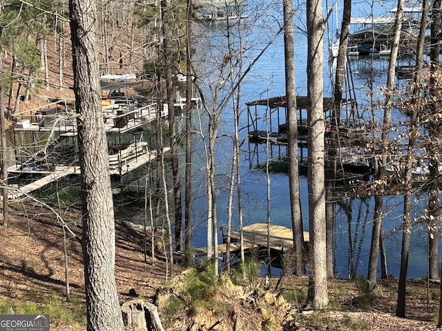 view of dock with a water view