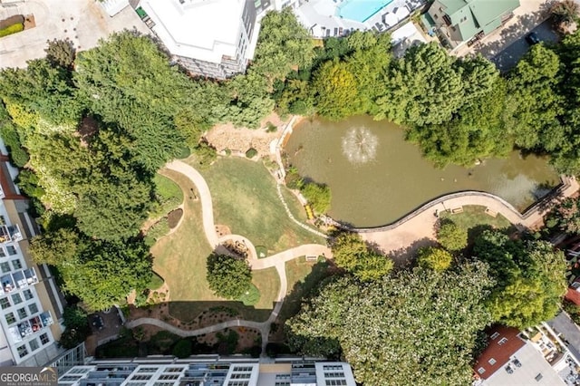 245 N Highland Ave NE Unit 220, Atlanta, GA 30307 - aerial view of a pool area