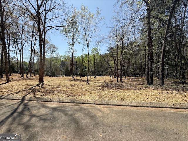 0 Yates Ct, Clarkesville, GA 30523