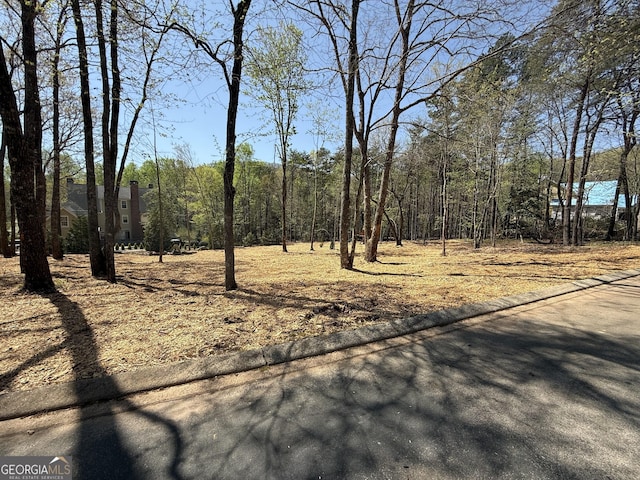 0 Yates Ct, Clarkesville, GA 30523