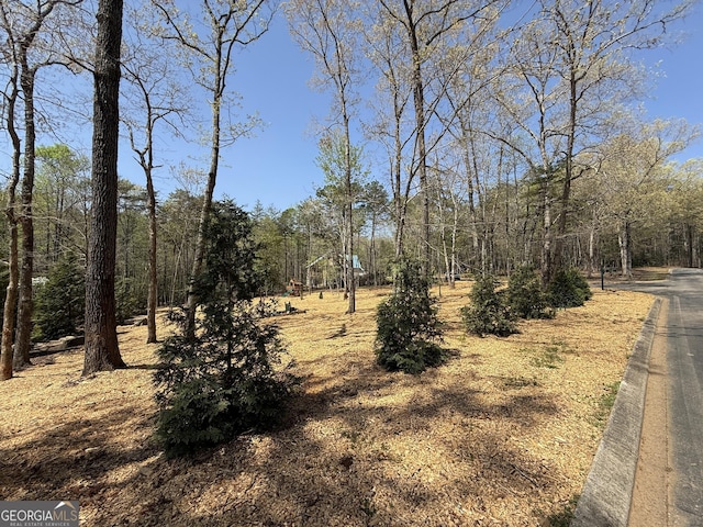 0 Yates Ct, Clarkesville, GA 30523