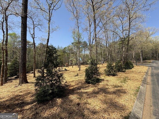 0 Yates Ct, Clarkesville, GA 30523
